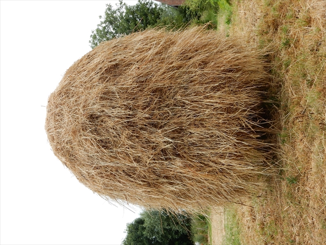 haystack #7, 2023 - Tinus Vermeersch