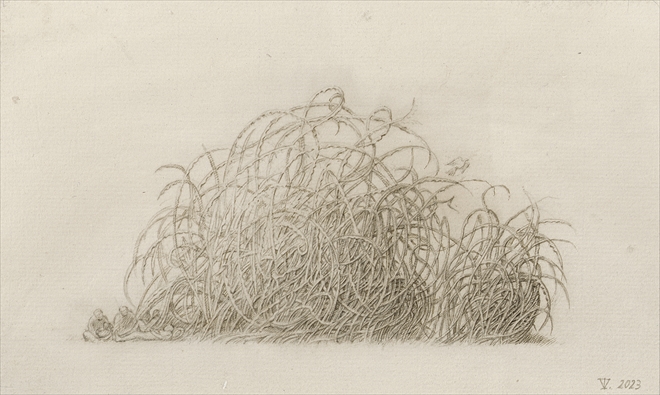 untitled, 2023, pen and brown ink on paper - Tinus Vermeersch