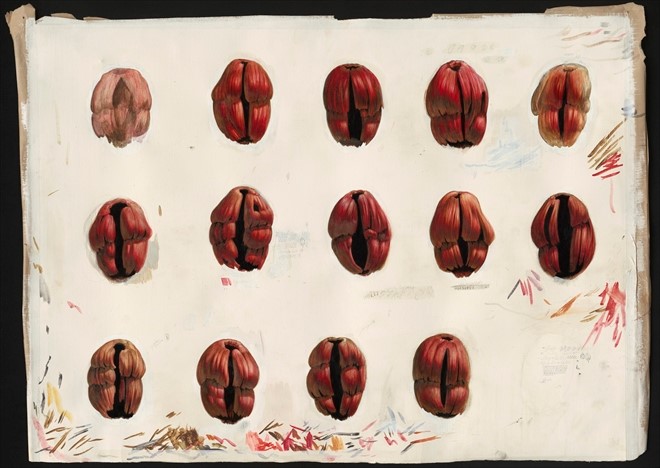 Tegumen VIII, 2011, tempera op geprepareerd papier, 60 x 80 cm - Tinus Vermeersch