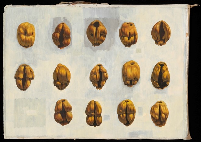 Tegumen III, 2011, tempera op geprepareerd papier, 60 x 80 cm - Tinus Vermeersch