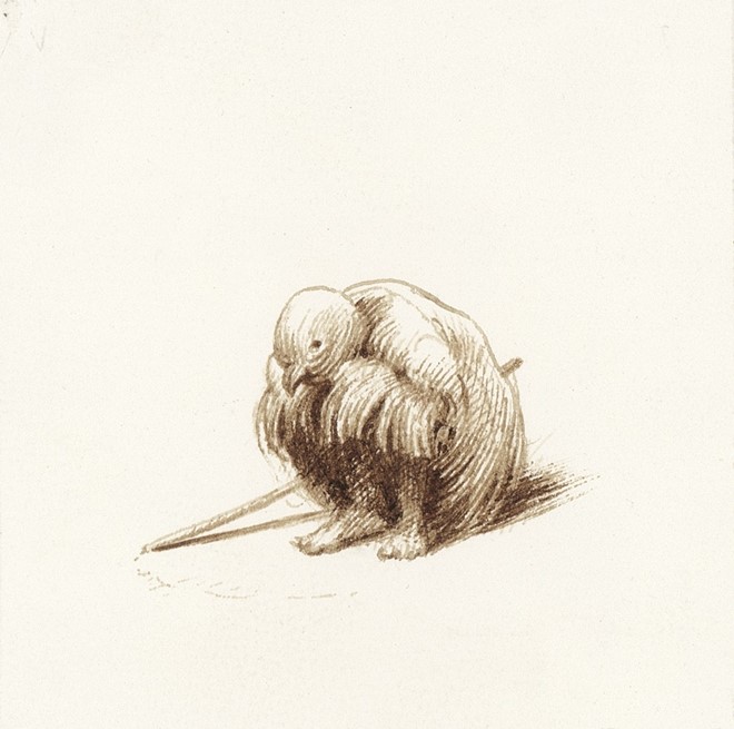 untitled, 2009, brown ink on paper, 8,7 x 8,7 cm - Tinus Vermeersch