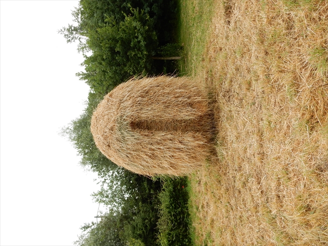haystack#8 - Tinus Vermeersch