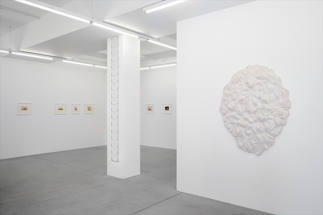 'Fragments', Hopstreet Gallery, 2023 - Tinus Vermeersch