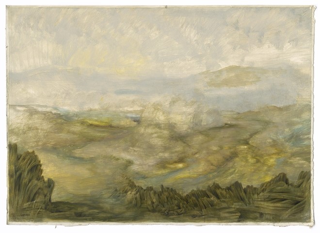 zonder titel, 2013, tempera op geprepareerd papier, 78 x 110 cm - Tinus Vermeersch